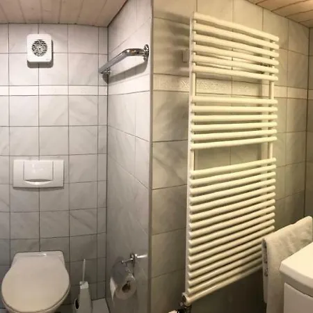 Waldesruh 3 Zimmerwohnung Arosa