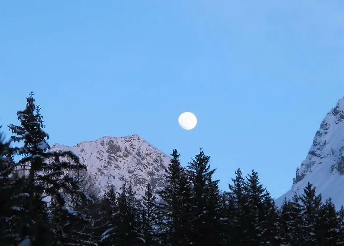 Waldesruh 3 Zimmerwohnung * Arosa